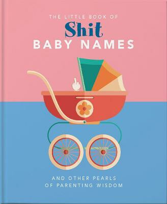 Kniha Little Book of Shit Baby Names