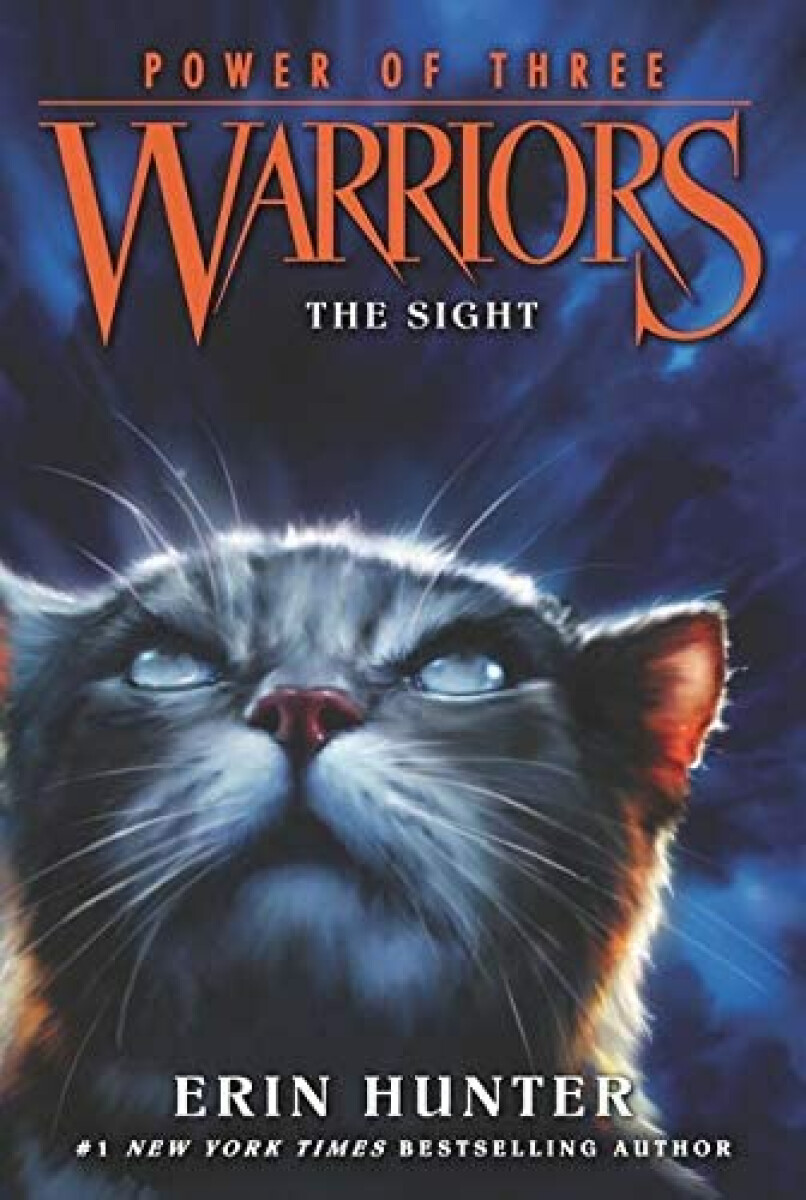 Kniha Warriors Power of Three 1: The Sight