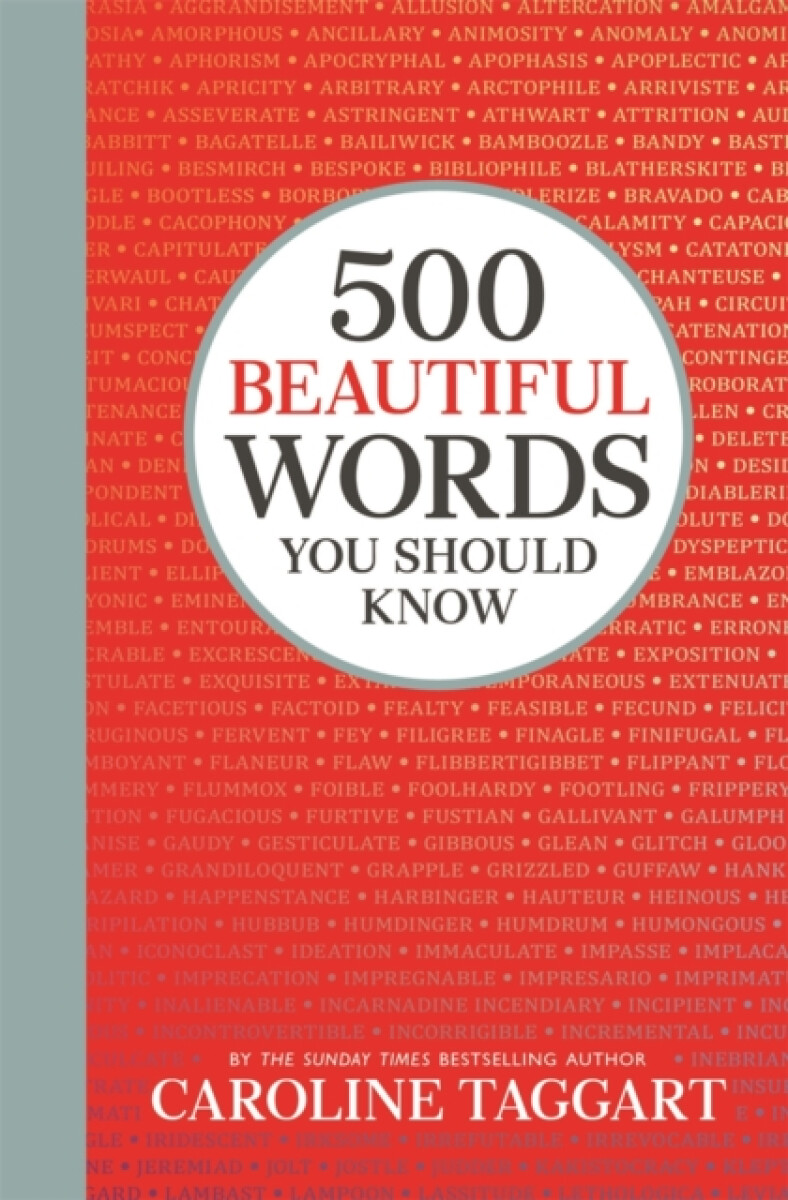 Kniha 500 Beautiful Words You Should Know