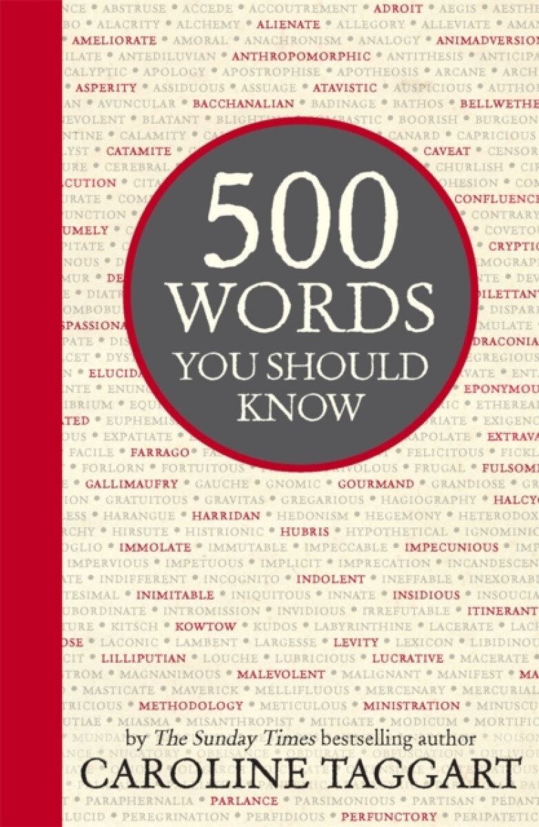 Kniha 500 Words You Should Know