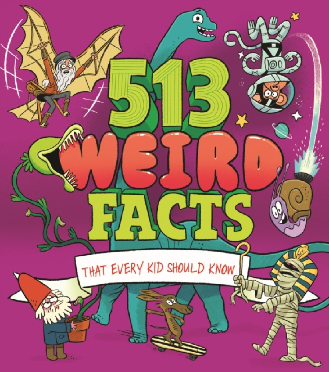Kniha 513 Weird Facts That Every Kid Should Know