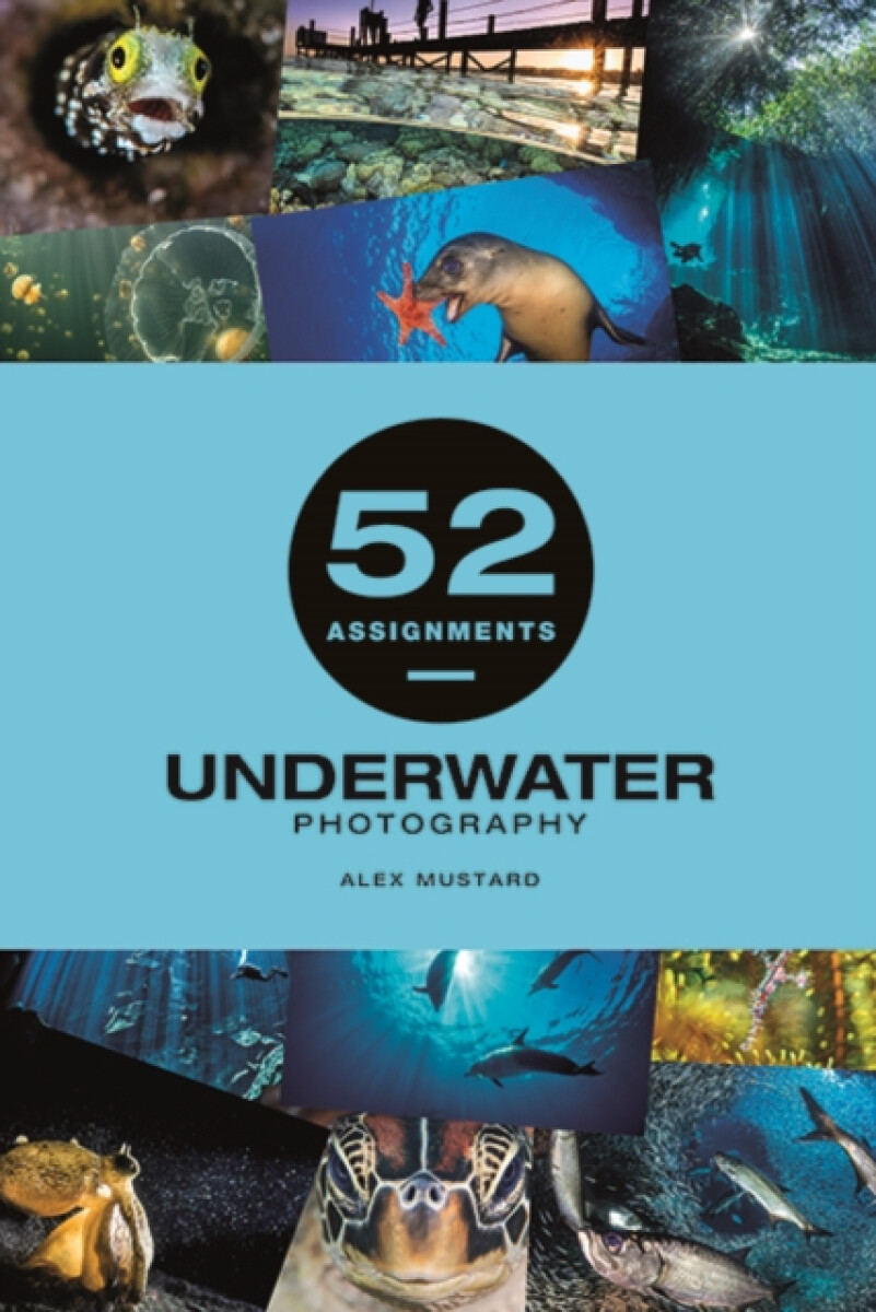 Kniha 52 Assignments: Underwater Photography