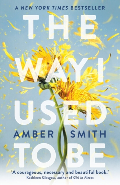 The Way I Used to Be - Amber Smith - Obrázek 2