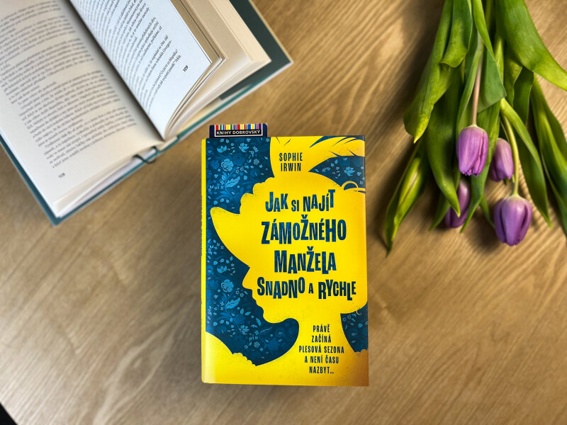 Jak si najít zámožného manžela snadno a rychle - Sophie Irwin (obrázek 3)