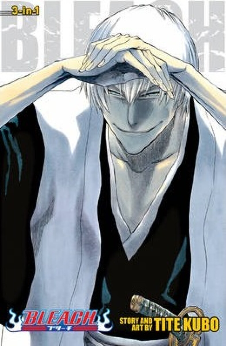 Kniha Bleach 7