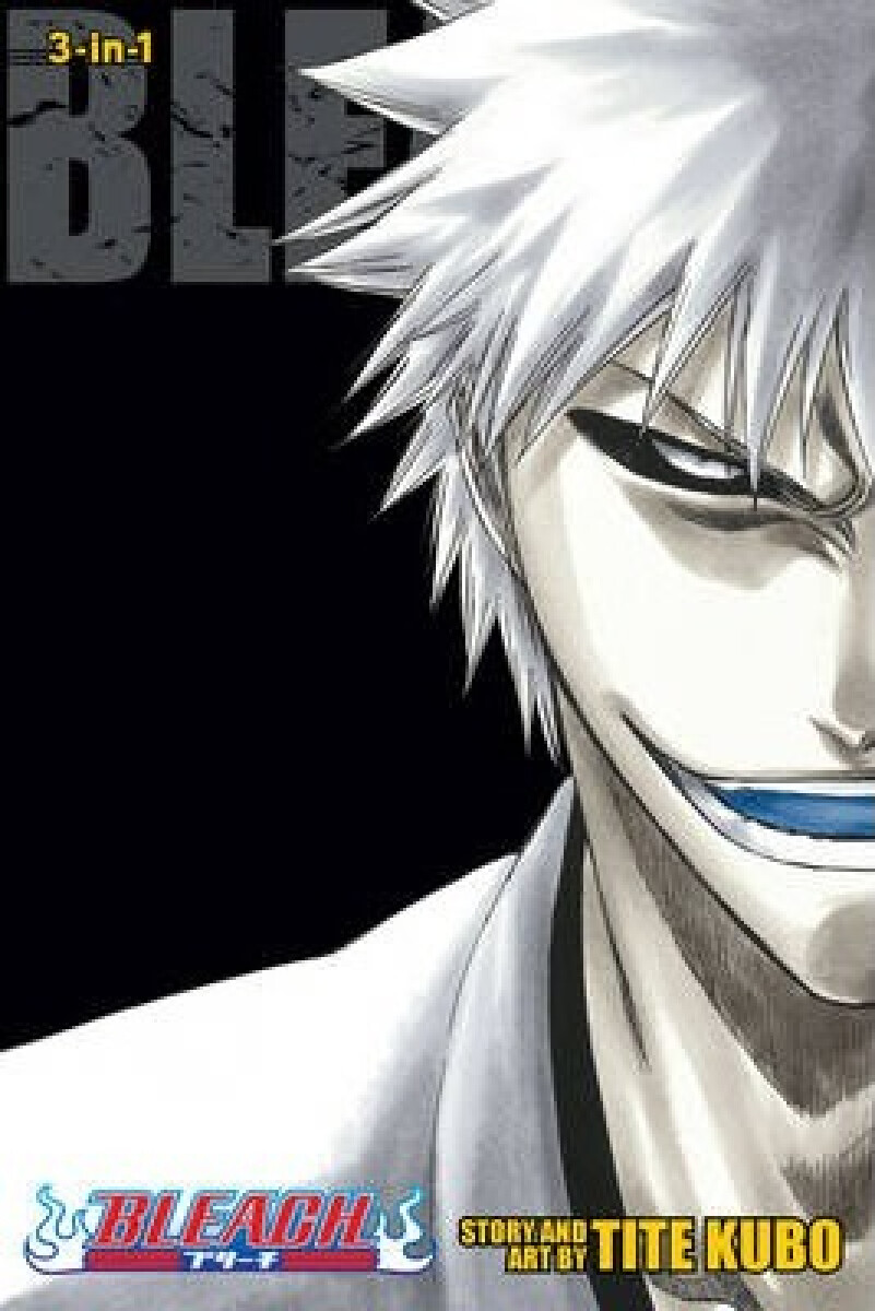 Kniha Bleach 9