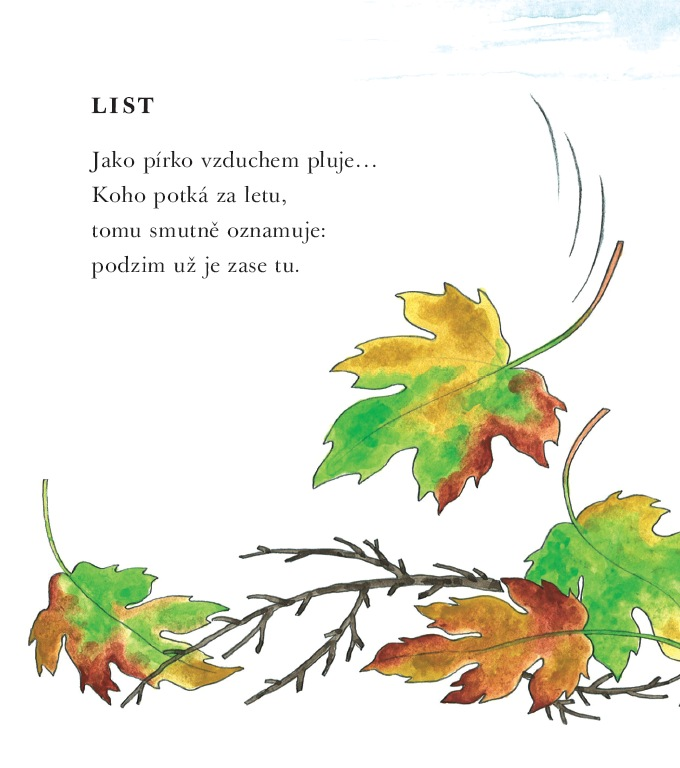 Co tu kvete, svítí, létá? – Jiří Havel