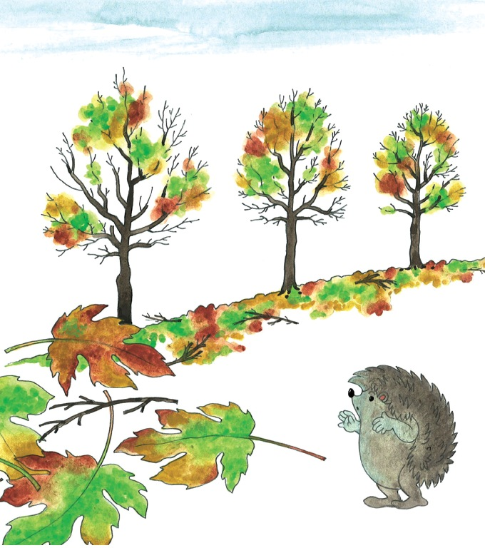 Co tu kvete, svítí, létá? – Jiří Havel