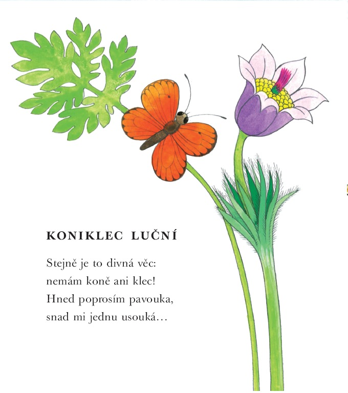 Co tu kvete, svítí, létá? – Jiří Havel