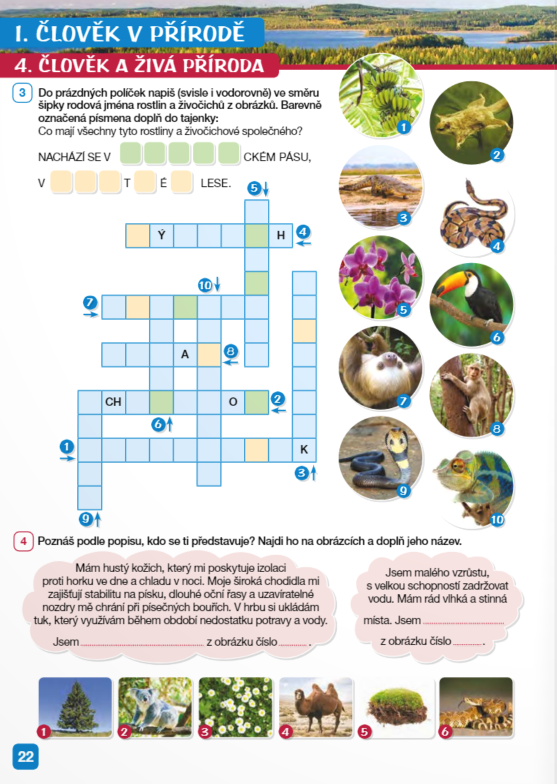 Hravá přírodověda 5 - pracovní sešit - Buriánková Daniela (obrázek 4)