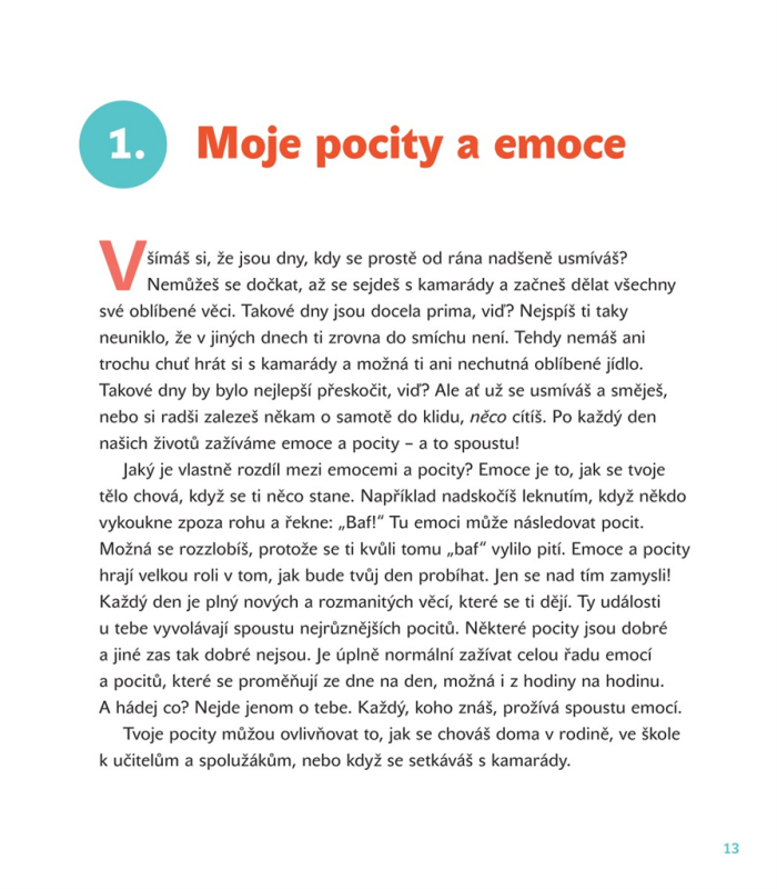 Moje pocity – Vanessa Green Allen