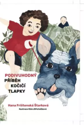 Kniha Podivuhodný příběh kočičí tlapky