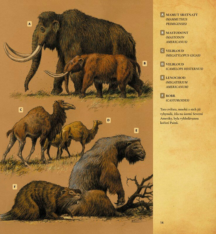 Velký indiánský příběh – Lubomír Kupčík