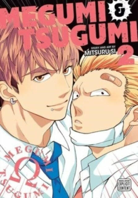 Kniha Megumi a Tsugumi, Vol. 2
