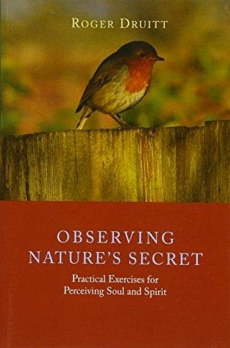 Kniha Observing Nature's Secret