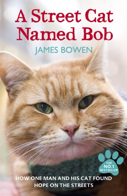 A Street Cat Named Bob – James Bowen