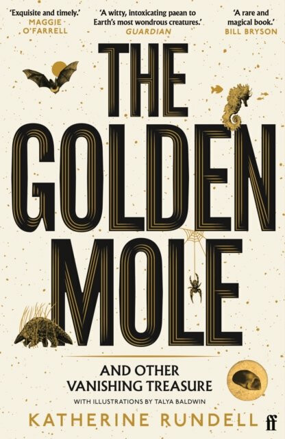 Golden Mole