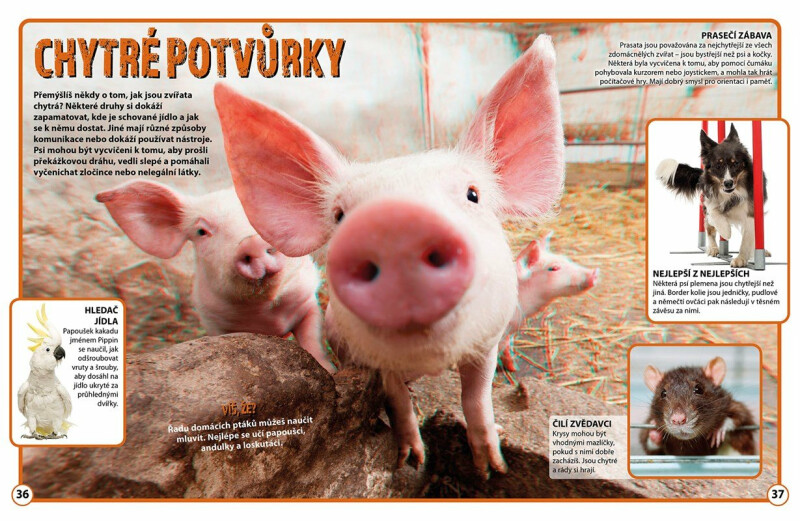 Nejroztomilejší mazlíčci ve 3D – kolektiv autorů