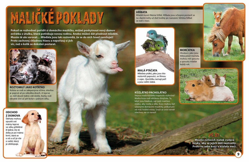 Nejroztomilejší mazlíčci ve 3D – kolektiv autorů