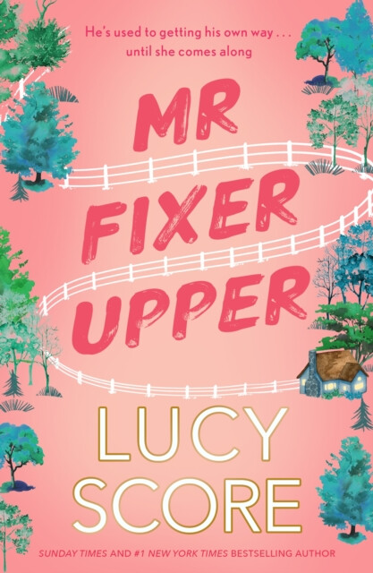 Kniha Mr Fixer Upper: the new romance from the bestselling Tiktok sensation!