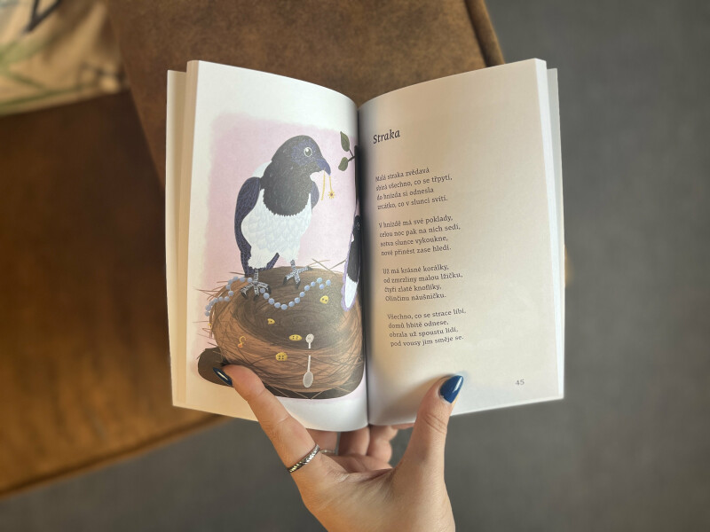 Básně – Drahomíra Tišerová