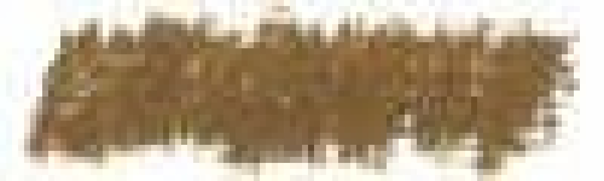 Sennelier olejový pastel Large 36ml – 210 Olive Brown