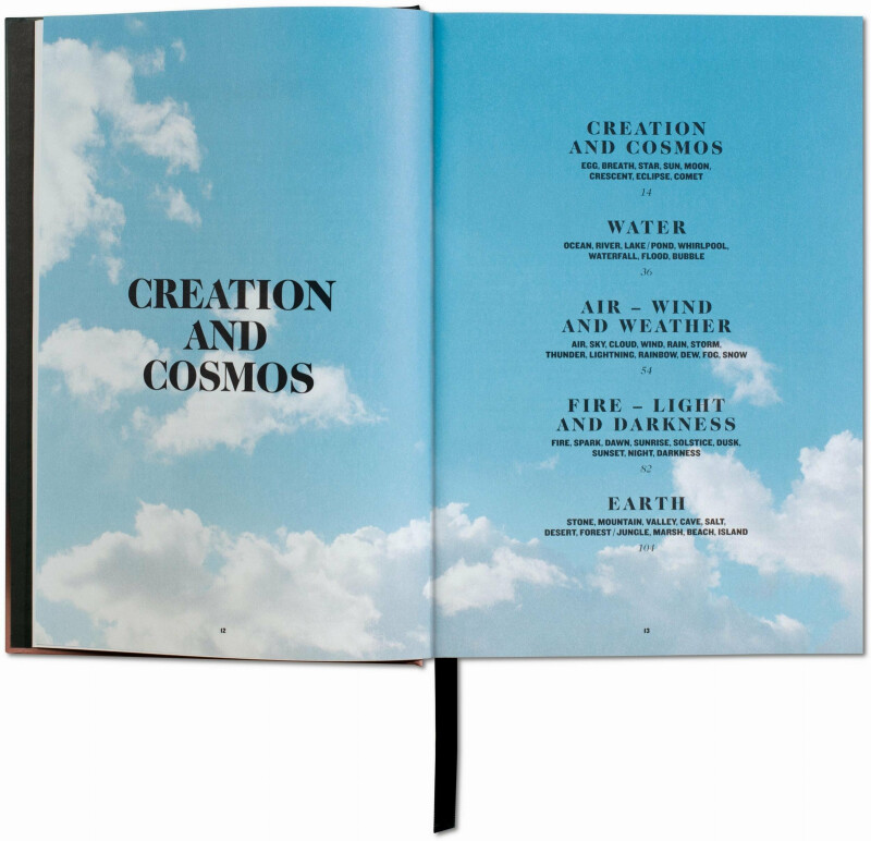 The Book of Symbols. Reflections on Archetypal Images - Archive for Research in Archetypal Symbolism - Obrázek 2