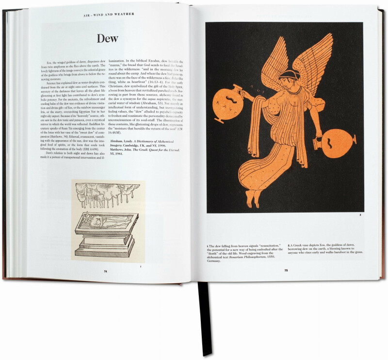 The Book of Symbols. Reflections on Archetypal Images - Archive for Research in Archetypal Symbolism - Obrázek 3