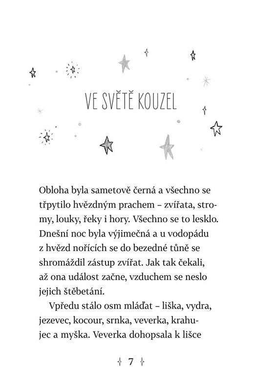 Osudoví kamarádi: Začarované zrcátko - Linda Chapmanová (obrázek 4)