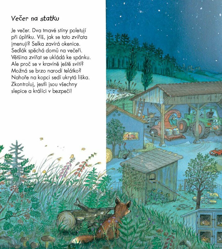 Bagry, traktory a popelářské vozy - Wolfgang Metzger (obrázek 4)