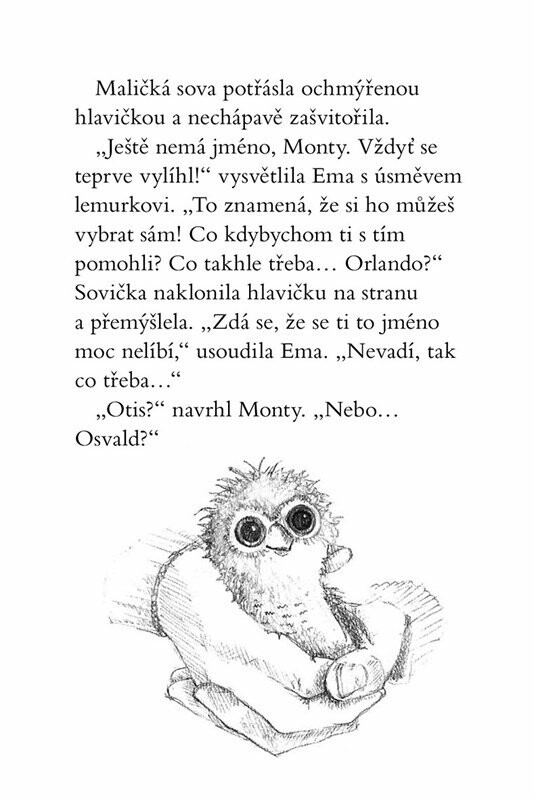 Ema a její kouzelná zoo - Ospalá sovička - Amelia Cobb (obrázek 4)