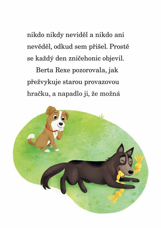 Psí parta – Pátrání začíná - Brandi Doughertyová (obrázek 4)