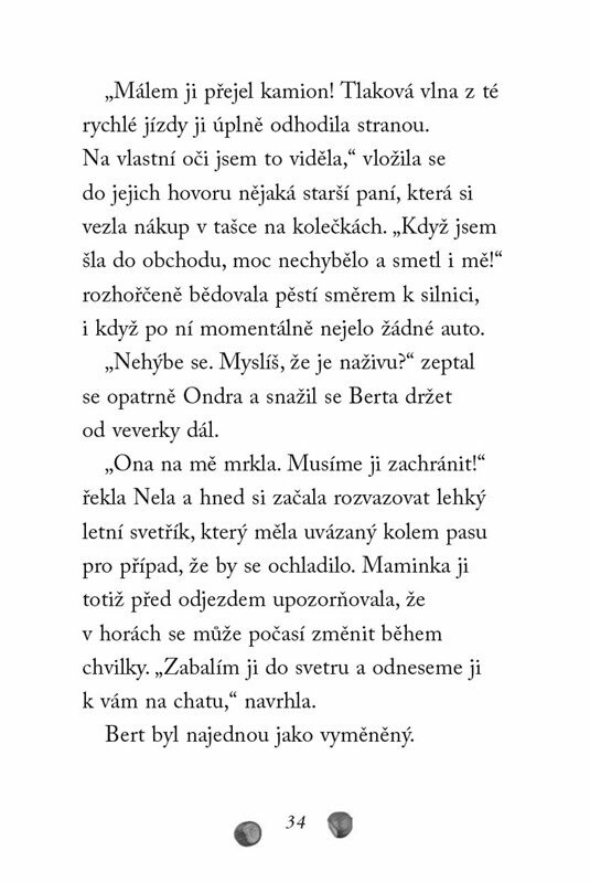 Starostlivá veverka - Zuzana Pospíšilová (obrázek 5)