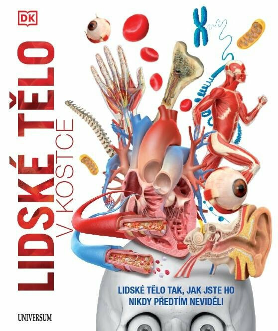 Lidské tělo v kostce