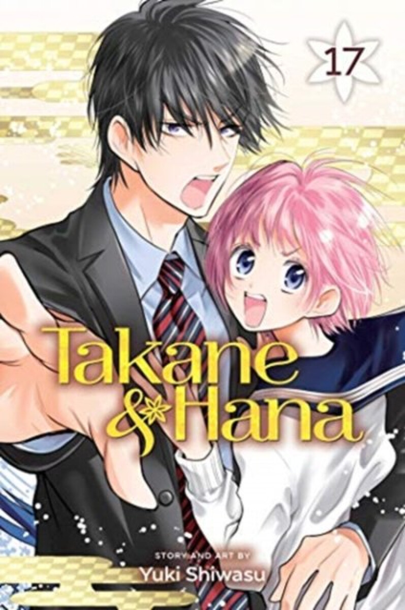 Kniha Takane a Hana, Vol. 17