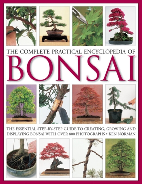 Kniha Complete Practical Encyclopedia of Bonsai