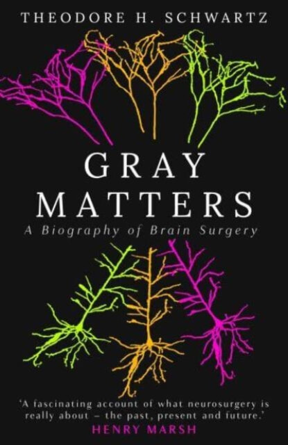 Kniha Gray Matters