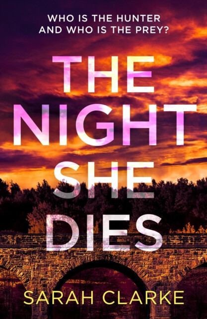 Kniha The Night She Dies