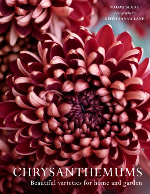 Kniha Chrysanthemums