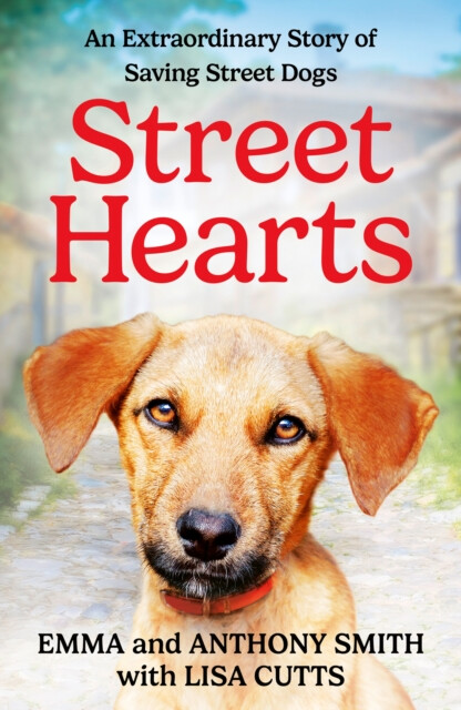 Kniha Street Hearts