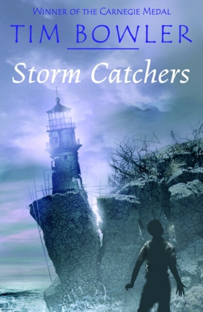 Kniha Storm Catchers