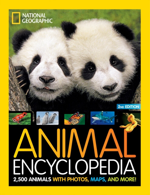 Kniha Animal Encyclopedia