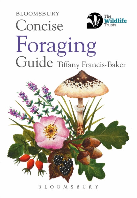 Kniha Concise Foraging Guide