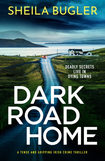 Kniha Dark Road Home