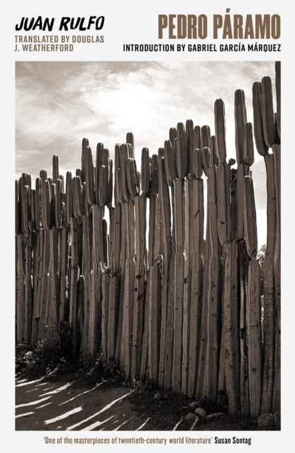 Kniha Pedro Páramo