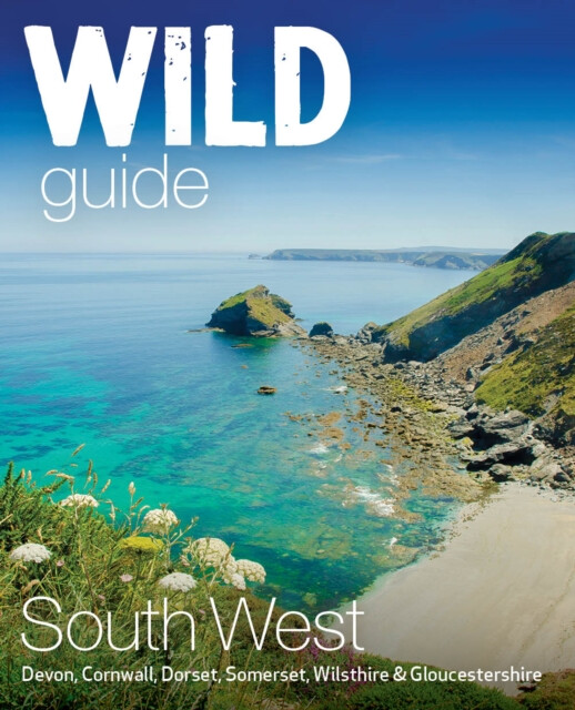 Kniha Wild Guide South West