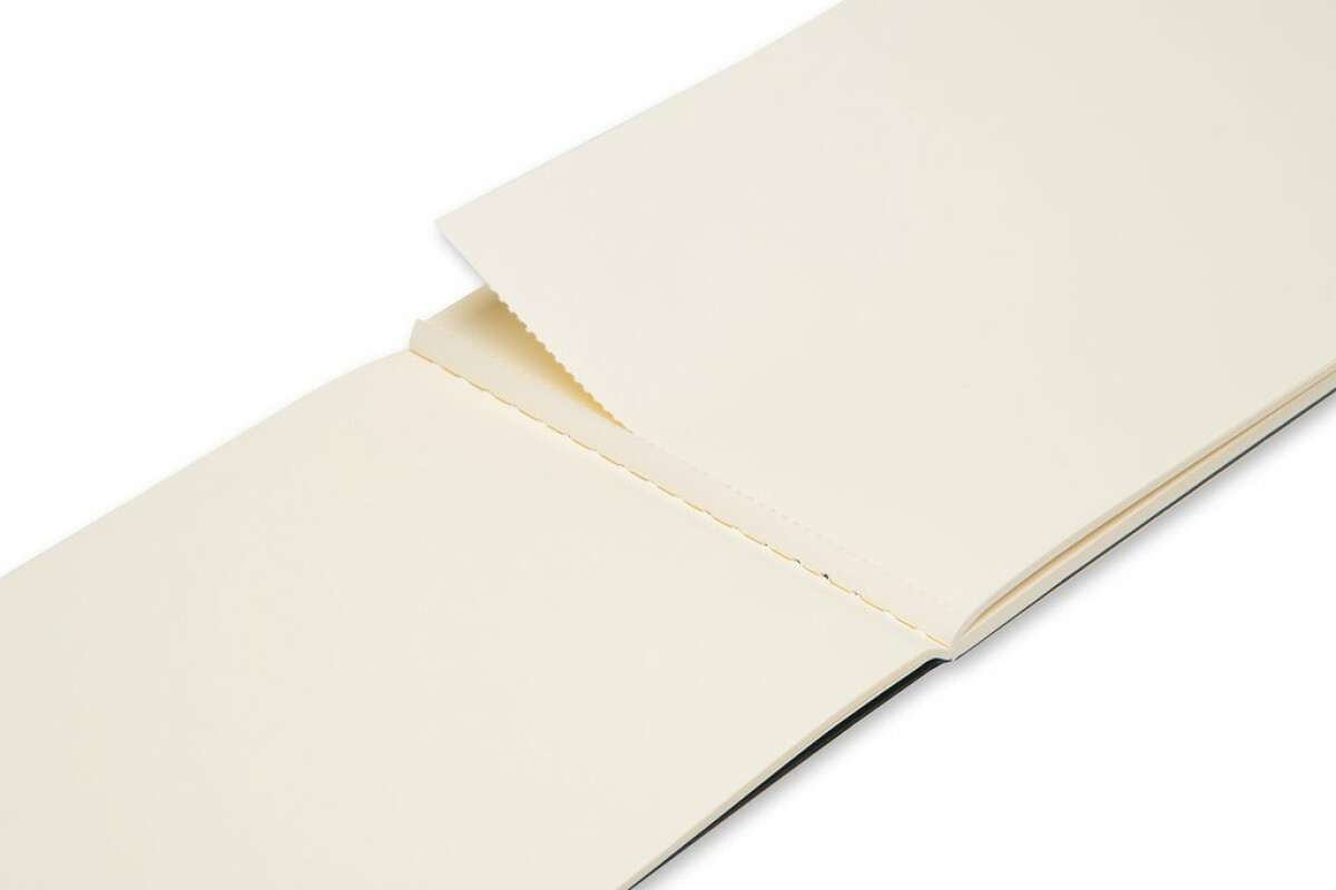 Skicář Moleskine Album, L - černý (obrázek 3)