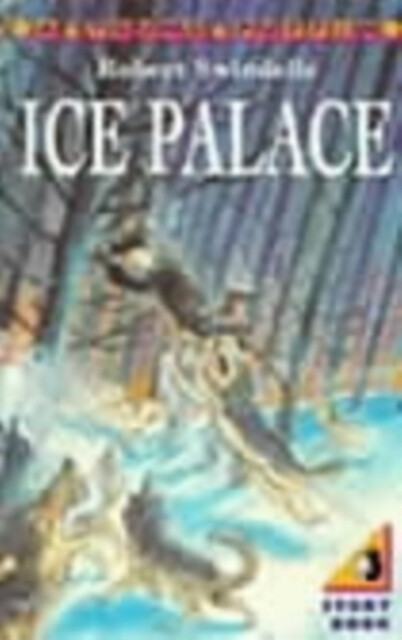 Kniha The Ice Palace