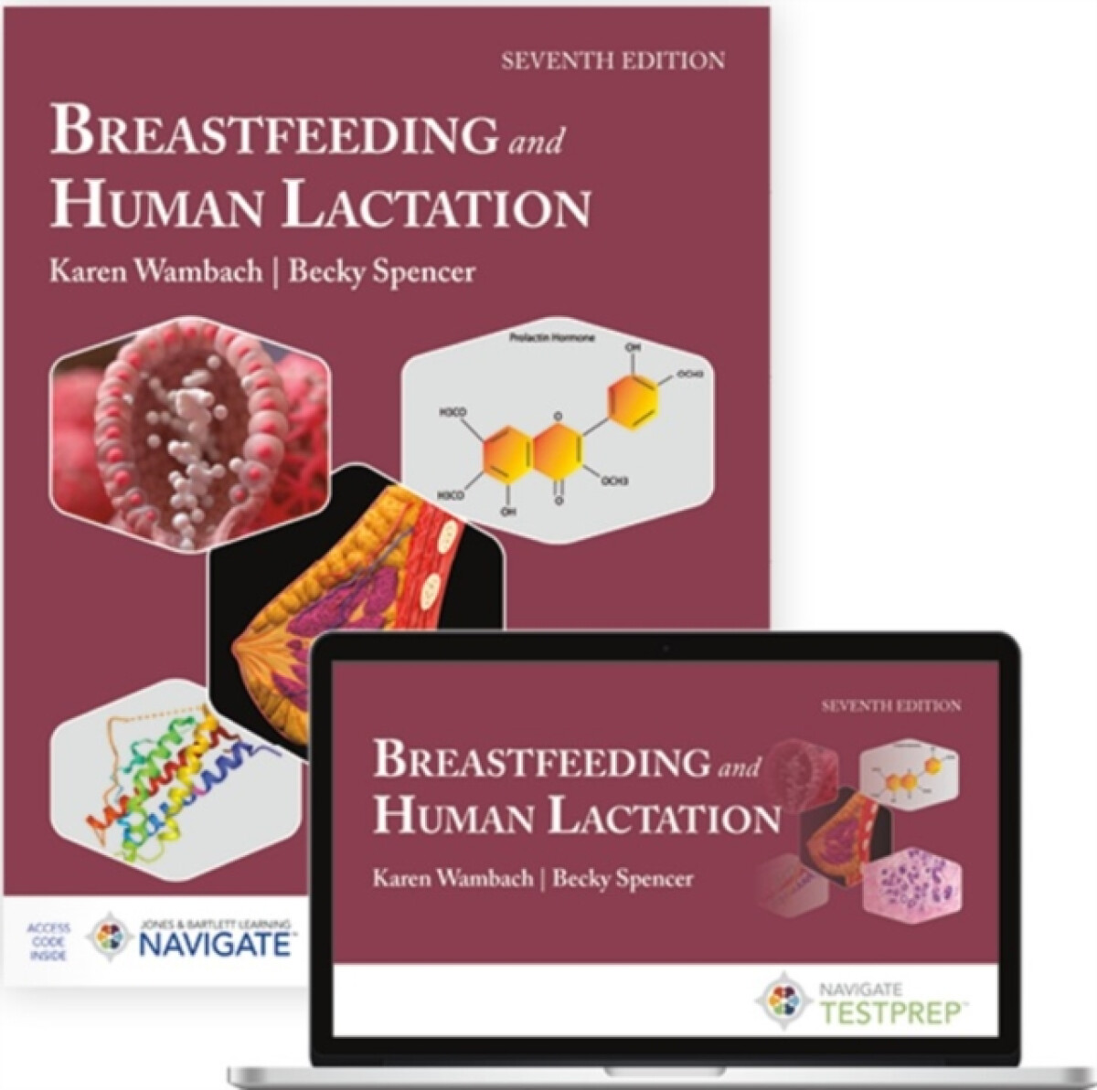 Kniha Breastfeeding And Human Lactation