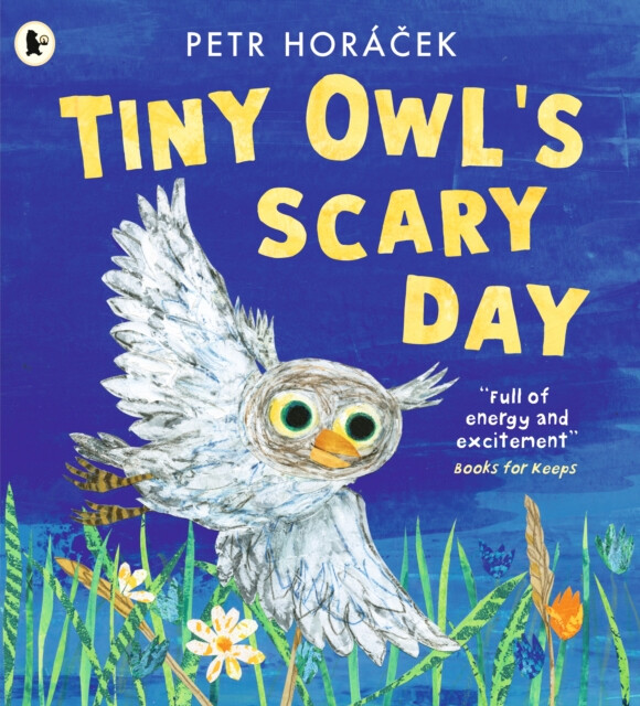 Tiny Owl´s Scary Day